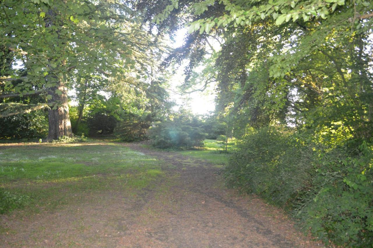 La Gentilhommiere Du Chateau De Ragnies Kültér fotó